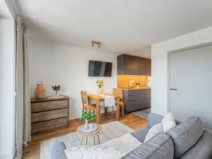 Prodej bytu 1+kk, Janov nad Nisou, 27 m2
