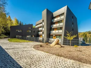 Prodej bytu 1+kk, Janov nad Nisou, 27 m2