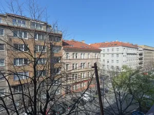 Pronájem bytu 1+kk, Praha - Vinohrady, Lucemburská, 30 m2