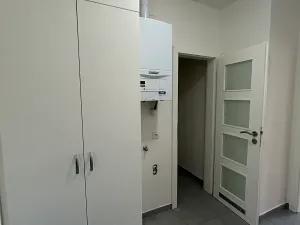 Pronájem bytu 1+kk, Praha - Žižkov, Hartigova, 35 m2