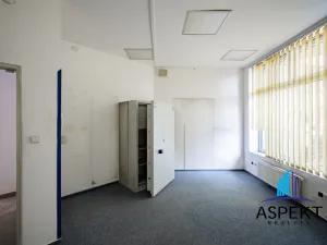 Pronájem obchodního prostoru, Praha - Kobylisy, U třešňovky, 224 m2