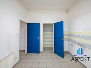 Pronájem obchodního prostoru, Praha - Kobylisy, U třešňovky, 224 m2