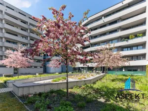 Pronájem bytu 2+kk, Praha - Holešovice, Dělnická, 52 m2
