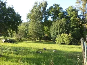 Dražba zahrady, Město Albrechtice, 694 m2