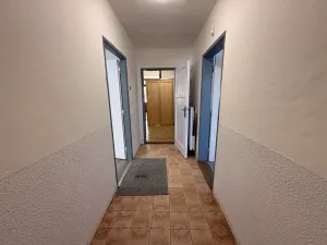 Pronájem rodinného domu, Čebín, 201 m2
