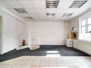Pronájem obchodního prostoru, Ostrava - Svinov, 94 m2