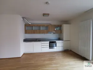 Pronájem bytu 2+kk, Praha - Nusle, Kischova, 73 m2