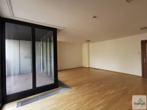 Pronájem bytu 2+kk, Praha - Nusle, Kischova, 73 m2