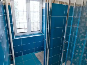 Prodej rodinného domu, Domažlice, Vojtěchova, 238 m2