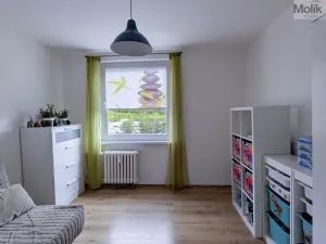 Prodej bytu 3+1, Teplice - Prosetice, Pod hvězdárnou, 74 m2