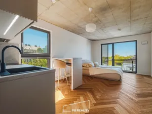 Prodej bytu 1+kk, Plzeň, Kamenická, 40 m2
