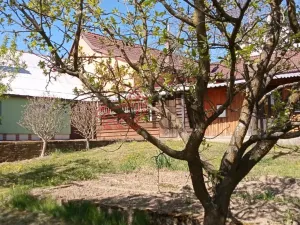 Prodej rodinného domu, Březová, 266 m2
