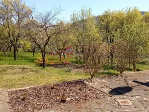 Prodej rodinného domu, Březová, 266 m2