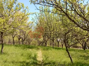 Prodej rodinného domu, Březová, 266 m2