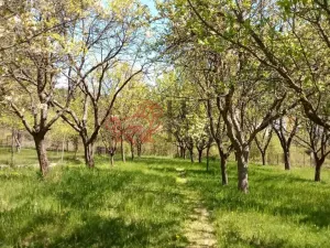Prodej rodinného domu, Březová, 266 m2
