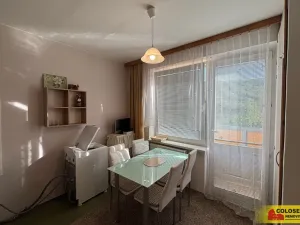 Pronájem bytu 1+1, Adamov, Petra Jilemnického, 34 m2