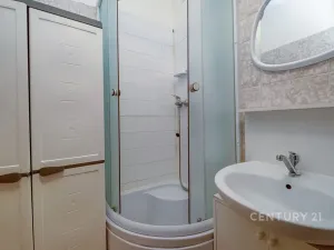 Pronájem bytu 2+1, Praha - Žižkov, Pod lipami, 52 m2