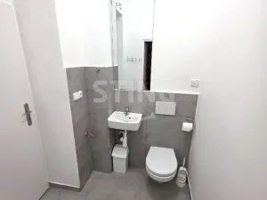 Pronájem obchodního prostoru, Opava, Ostrožná, 25 m2