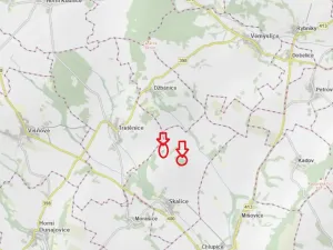 Prodej podílu lesa, Skalice, 1312 m2