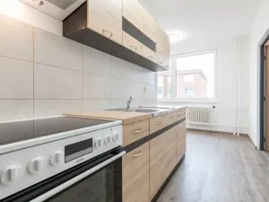 Prodej bytu 2+1, Ryžoviště, Tovární, 52 m2