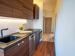 Prodej bytu 3+1, České Budějovice, Pekárenská, 79 m2