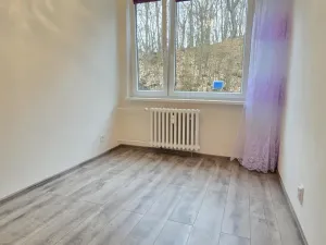 Pronájem bytu 3+1, Litvínov - Hamr, Na Kopci, 66 m2
