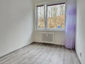 Pronájem bytu 3+1, Litvínov - Hamr, Na Kopci, 66 m2