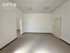 Pronájem obchodního prostoru, Plzeň, Zborovská, 53 m2