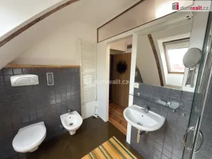 Pronájem bytu 1+kk, Ústí nad Labem - Klíše, Hany Kvapilové, 28 m2
