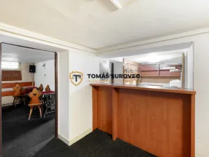 Prodej restaurace, Nedašov, 200 m2