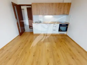 Pronájem bytu 2+kk, Plzeň, Poděbradova, 44 m2
