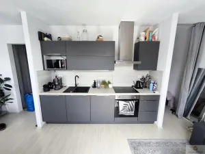 Pronájem bytu 1+kk, Olomouc, Eduarda Hamburgera, 32 m2