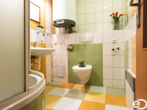 Pronájem bytu 2+kk, Borohrádek, Družstevní, 31 m2