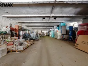 Prodej výrobních prostor, Buřenice, 2100 m2
