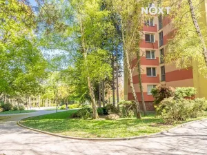 Prodej bytu 2+1, Brno, Horácké náměstí, 69 m2