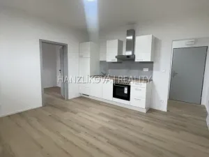 Pronájem bytu 2+1, České Budějovice - České Budějovice 4, Rudolfovská tř., 50 m2