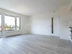 Pronájem bytu 2+kk, Praha - Kamýk, Hodkovická, 50 m2