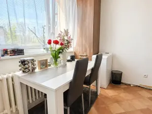 Pronájem bytu 1+1, Jihlava, Březinova, 33 m2