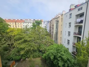 Pronájem bytu 3+1, Praha - Vinohrady, Mánesova, 120 m2