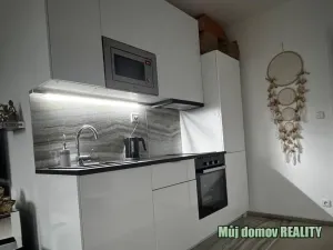 Pronájem bytu 1+kk, Praha - Hloubětín, Poděbradská, 46 m2