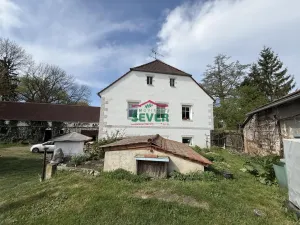 Prodej rodinného domu, Pětipsy, 3229 m2