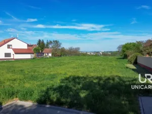 Prodej pozemku, Sokolnice, 6046 m2