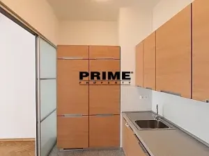 Pronájem bytu 4+kk, Praha - Vinohrady, Na Švihance, 150 m2