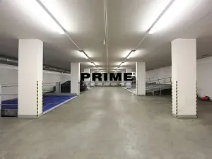 Pronájem bytu 4+kk, Praha - Vinohrady, Na Švihance, 150 m2