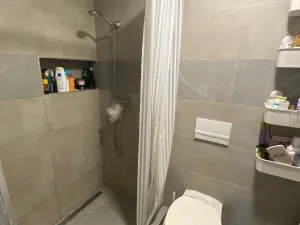 Prodej komerční nemovitosti, Bystřice pod Hostýnem, Přerovská, 420 m2