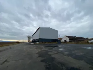 Pronájem výrobních prostor, Cheb, 1126 m2
