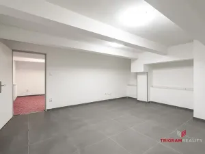 Pronájem bytu 3+1, Hradec Králové - Pražské Předměstí, Břetislavova, 77 m2