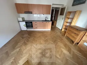 Pronájem bytu 1+kk, Praha - Nusle, U křížku, 28 m2