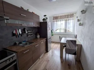 Pronájem bytu 3+1, Krupka - Maršov, Dukelských hrdinů, 68 m2