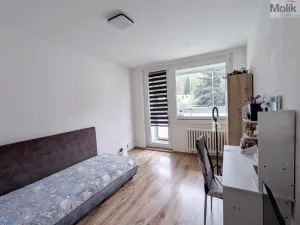 Pronájem bytu 3+1, Krupka - Maršov, Dukelských hrdinů, 68 m2